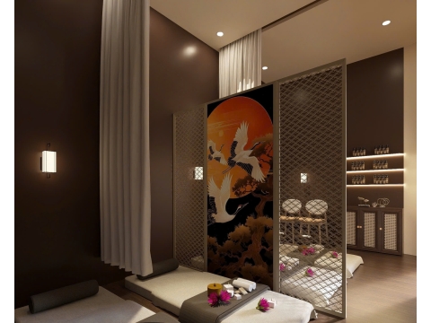 SPA CÁT HY TẠI TÂN BÌNH