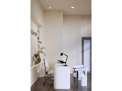 SPA CÁT HY TẠI TÂN BÌNH