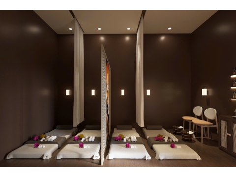 SPA CÁT HY TẠI TÂN BÌNH